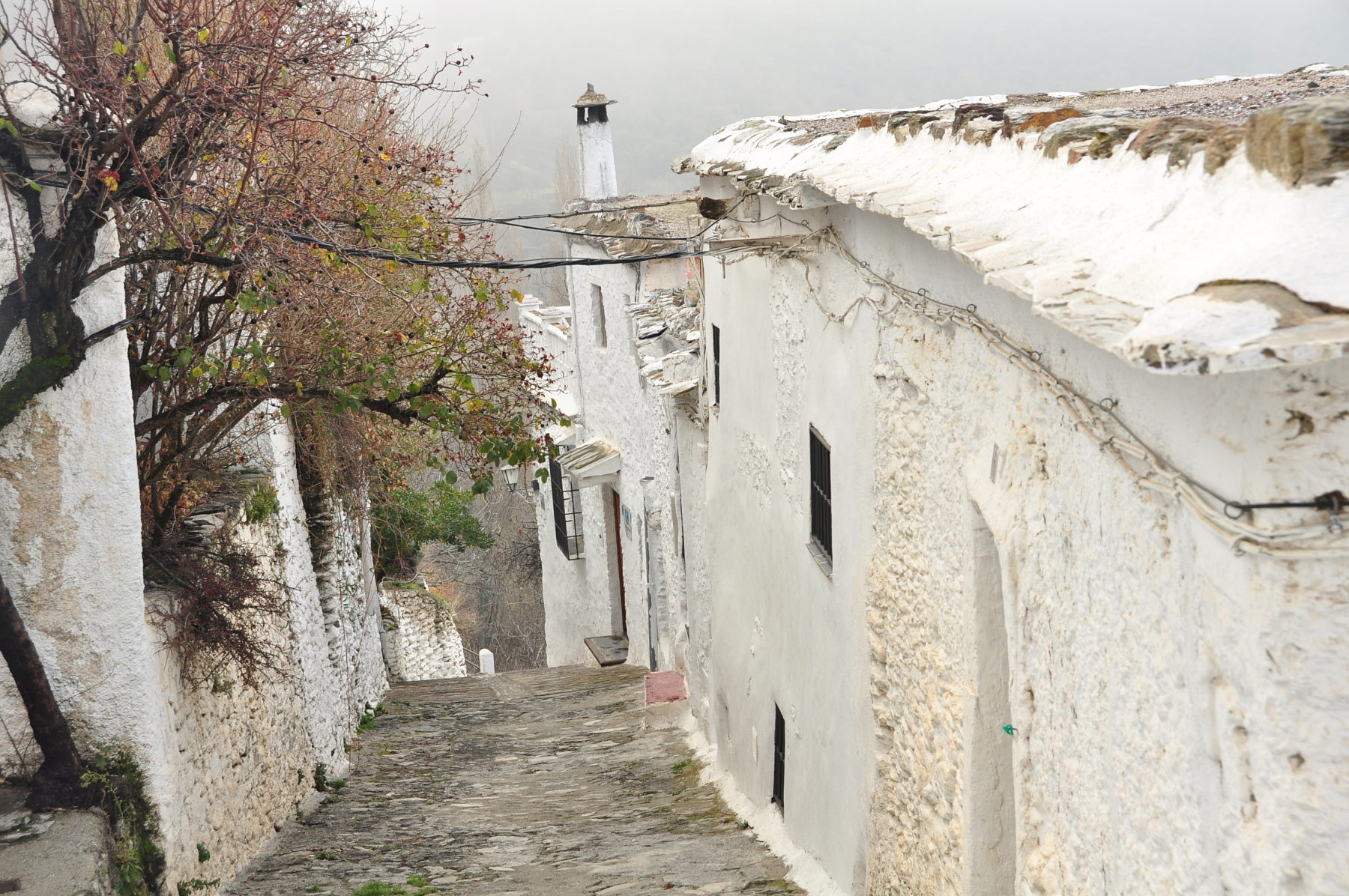 Bubion
